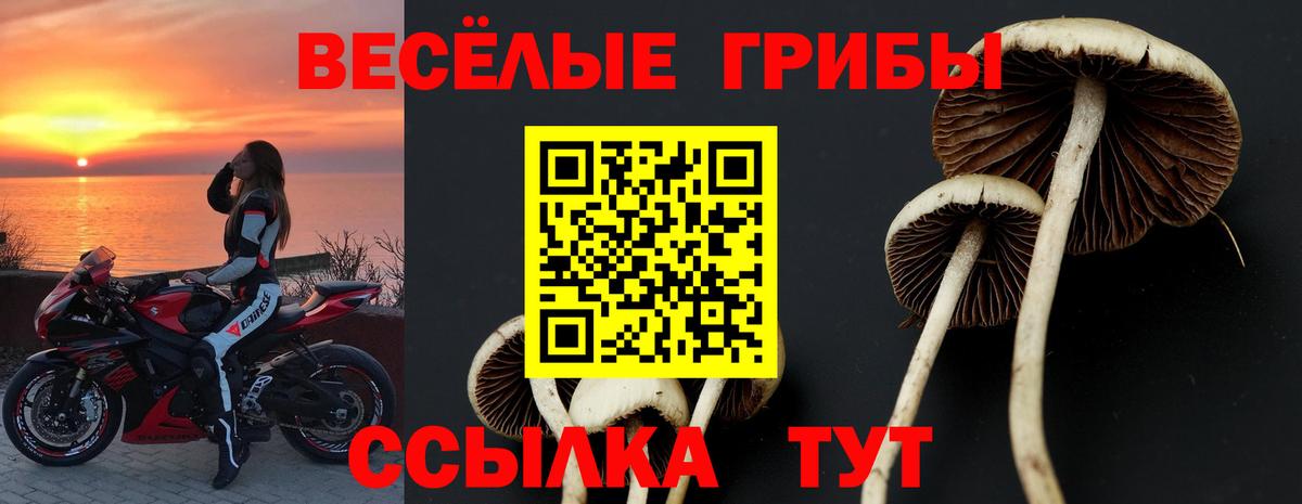 Артём  Галлюциногенные грибы мухоморы  где найти   Вход с VPN 